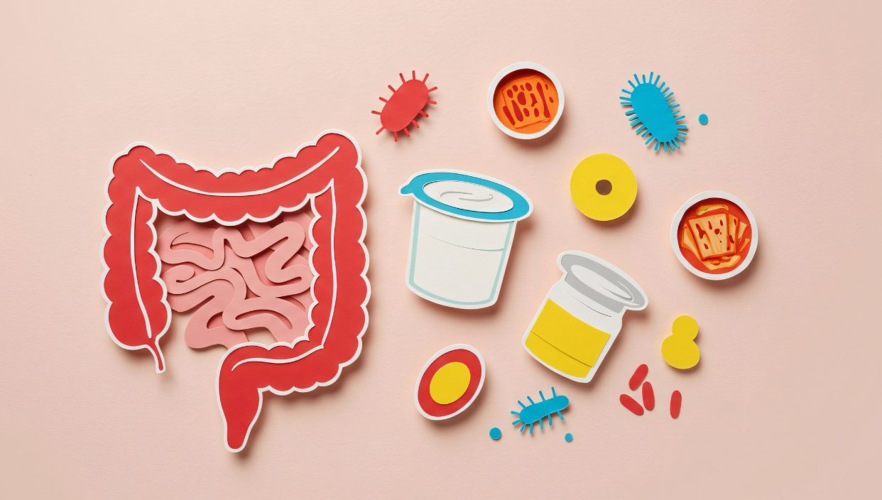 the digestive system and food components 