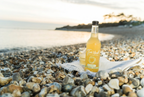 Natural Original Raw Kombucha