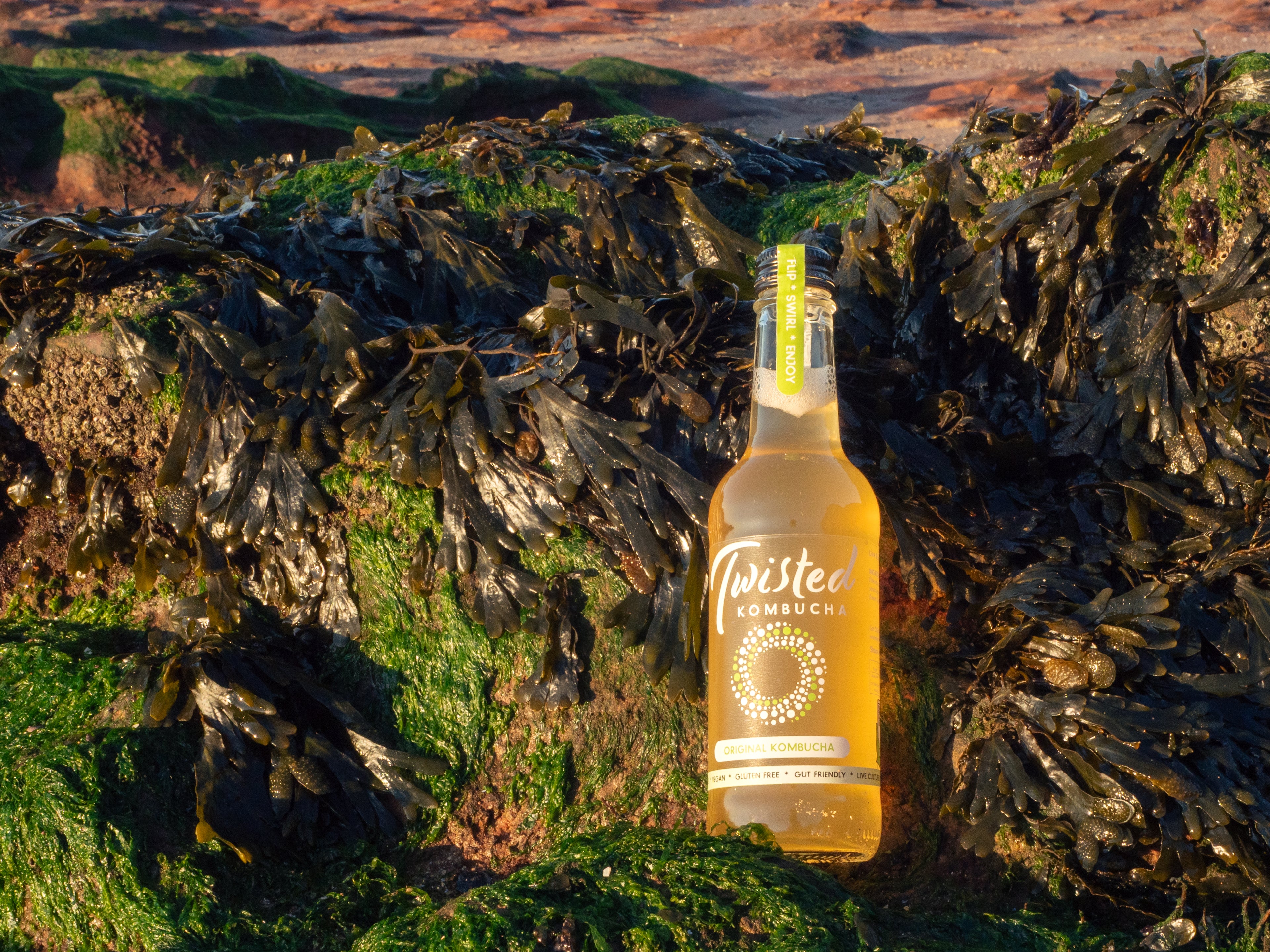 Natural Original Raw Kombucha