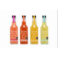 mixed flavour case raw  kombucha bottle  Twisted Kombucha UK